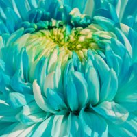 *** :: Виктор Иванович Чернюк *** :: Виктор Иванович Чернюк