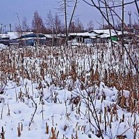 Декабрь...Балки Пыть-Яха! :: Владимир 