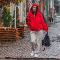 Что мне снег, что мне зной ... :: Анатолий. Chesnavik.