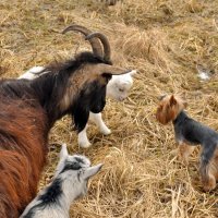 Новыенький :: Александр Силинский Новыенький :: Александр Силинский