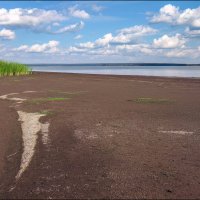 Берег Меши :: **** vedin