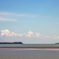 Меша :: **** vedin