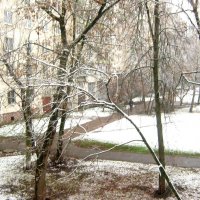 15 ноября.Наконец выпал снег :: Елена Семигина