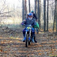 О покатушках в осеннем лесу...:-) :: Андрей Заломленков