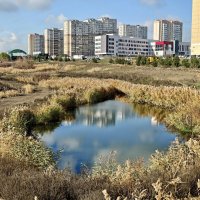 Ростовские зарисовки :: Александр Гапоненко Ростовские зарисовки :: Александр Гапоненко