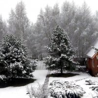 Ноябрь. Первый снег :: Ольга Довженко