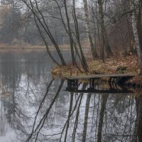 **** :: Елизавета .