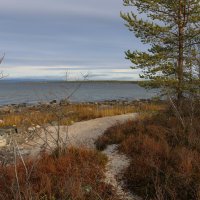 У Имандры :: Ольга У Имандры :: Ольга