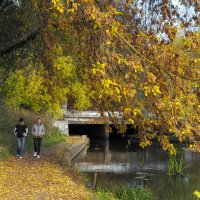 Осенний Сюжет :: юрий поляков