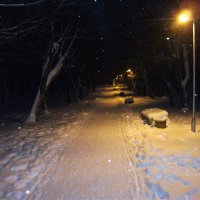 в заснеженном парке :: Владимир иванов