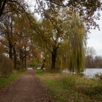 *** :: Николай Гирш