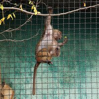В парке Тайган :: Татьяна Тюменка
