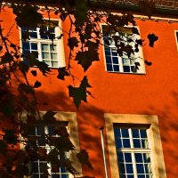 Осень 57 :: Алексей Кузнецов