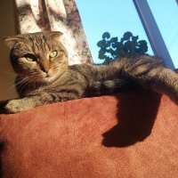 Само совершенство :: константин 