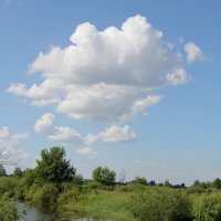 Летнее :: Сергей Рожков