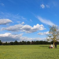 трио любознательных :: Артём трио любознательных :: Артём