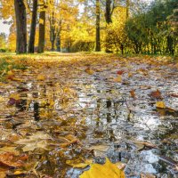 Про Питер :: Владимир Колесников