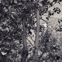 Фотография :: Денис Безногов