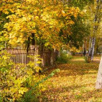 В начале октября :: Александр Синдерёв