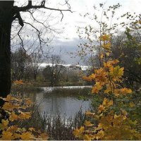 и ЗОЛОТЫМ ДОЖДЕМ... :: ZNatasha - и ЗОЛОТЫМ ДОЖДЕМ... :: ZNatasha -