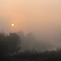 Туман. :: Александр 