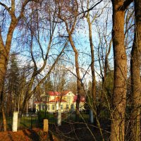 Солнечный день ноября :: Aida10 