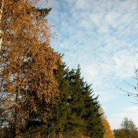 Осень ушла этой дорогой... :: Наталья Лунева 