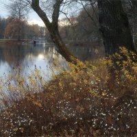 обещание снега :: sv.kaschuk 