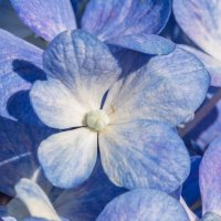 *** :: Виктор Иванович Чернюк