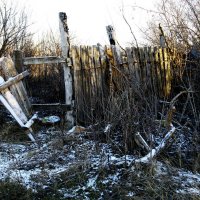 Заброшенный участок :: СЮ 