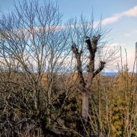 Рядом с маяком, вдали море :: Veera V