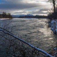 ... :: Жора Житников