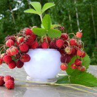 Букетик с ароматом лета. :: nadyasilyuk Вознюк Букетик с ароматом лета. :: nadyasilyuk Вознюк