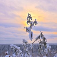 - :: Владимир Мигонькин