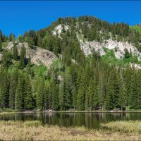 Серебряное озеро :: **** vedin