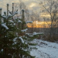 Начало дня. :: Николай 