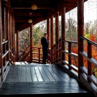 В Японском саду... Краснодар :: Николай Саржанов В Японском саду... Краснодар :: Николай Саржанов