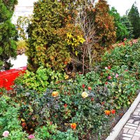 Возле мерии :: Юрий Гайворонскiий Возле мерии :: Юрий Гайворонскiий