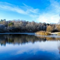 Ноябрьское утро на озере. :: Милешкин Владимир Алексеевич Ноябрьское утро на озере. :: Милешкин Владимир Алексеевич