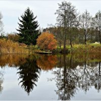 Картинка осени. :: Валерия Комова