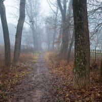 Осеннее эхо в сером свете :: Александр Синдерёв