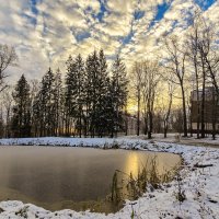 Ноябрьский день :: Oleg S 