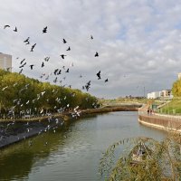 Ростовские зарисовки :: Александр Гапоненко