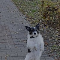 Не хочу домой! Буду позировать! :: Валентина Нефёдова