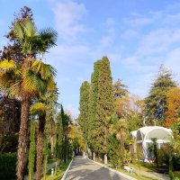 Санаторий Авангард Сочи :: Tata Wolf