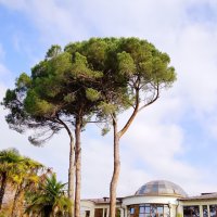 Санаторий Авангард Сочи :: Tata Wolf