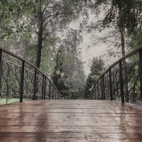 мост в Террабитию :: Вадим 