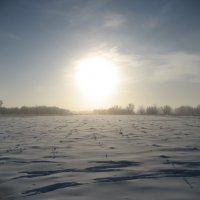 Солнце :: Anna Ivanova