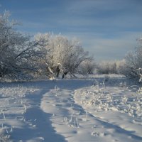 Зима :: Anna Ivanova Зима :: Anna Ivanova