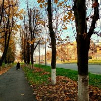 Середина ноября :: Татьяна Львова